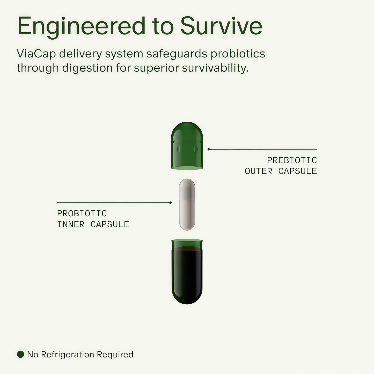 DS-01® Daily Synbiotic