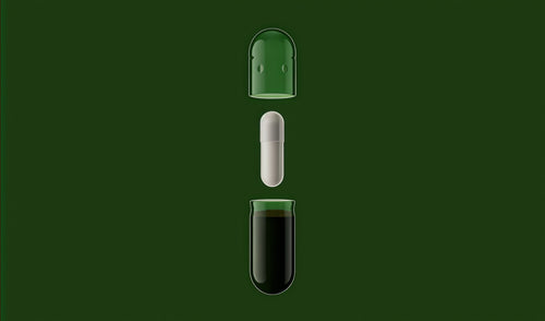 Daily Synbiotic